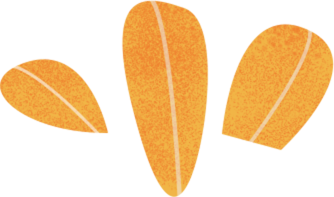 叶子
